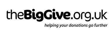 The Big Give logo